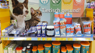 "Extrem positive Entwicklung"