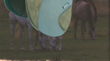 Sinnvoll für den Zoofachhandel