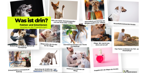 Verwöhnen oder Behandeln? Verwöhnen oder Behandeln?