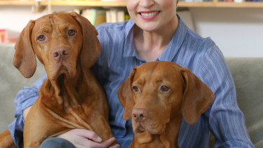 Neue Botschafterin des Hundes