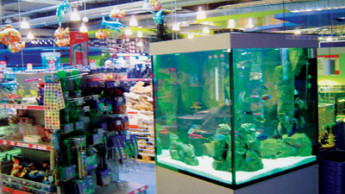 Wie laufen die Geschäfte in dieser Aquaristiksaison?