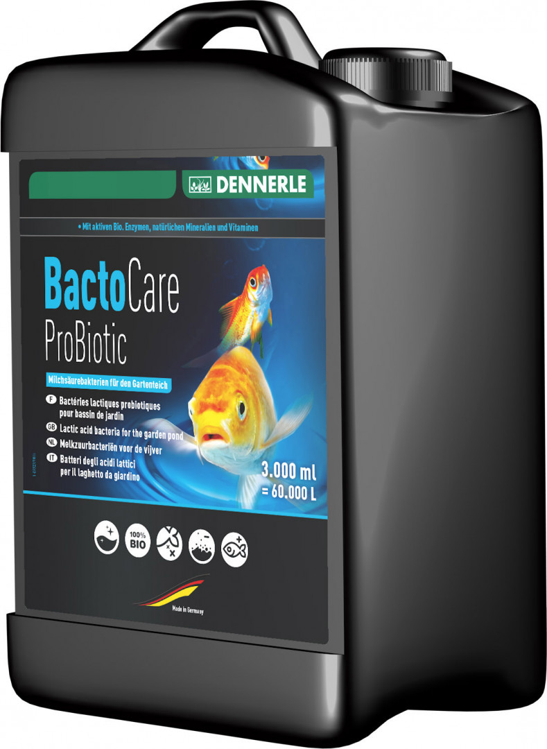 Rundumpflege für den Teich