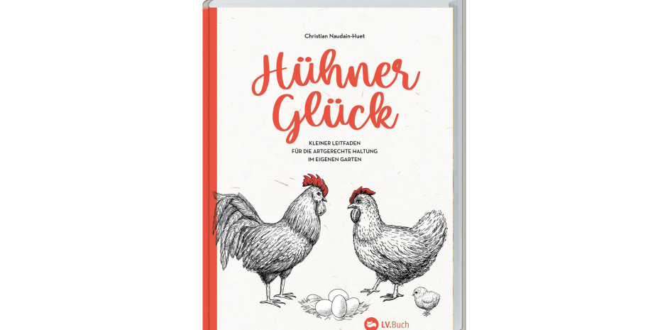 Hühner-Glück