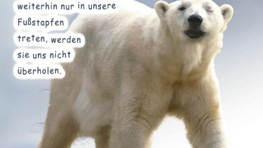 Neuer „Eiskalt“-Katalog