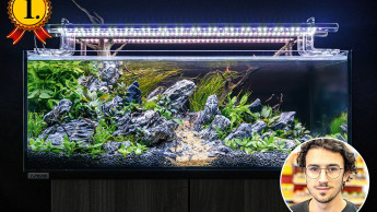 Gianluca Onida gewinnt Aquascaping Challenge