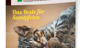E-Magazin Katze