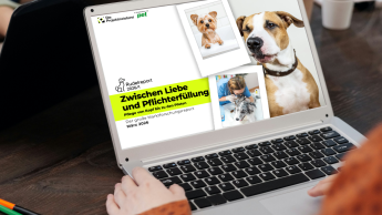 Drei Haltertypen, viele Bedürfnisse