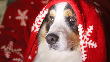 Besinnliche Umsatzzeit