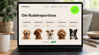 Fünf Rudelreportinos liefern kompakte Insights zu Trend-Themen