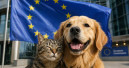 EU verabschiedet wegweisende Vorschriften für Hunde und Katzen