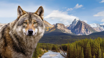 „Herzblut steckt in jedem Produkt“ „Herzblut steckt in jedem Produkt“