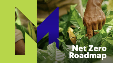 Mars reduziert weltweit die Treibhausgasemissionen um 1,9 %