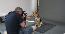 Josera startet Foto-Roadshow 