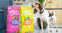 Wenn Hunde und Katzen kochen könnten