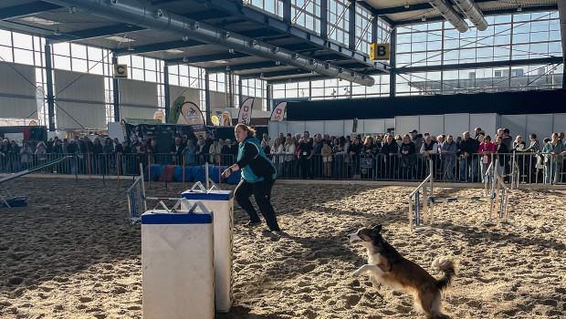 Showprogramm bei der Premiere der Fellnasen & Friends in Husum im März.