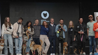 Petfluencer kamen erneut in Köln zusammen