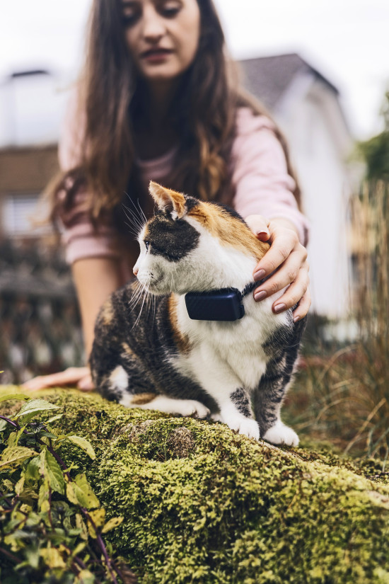 Die GPS-Tracker für Katzen, aber auch für Hunde, werden weltweit angeboten. 