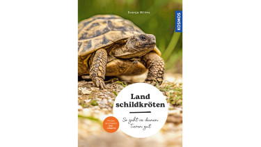 Landschildkröten