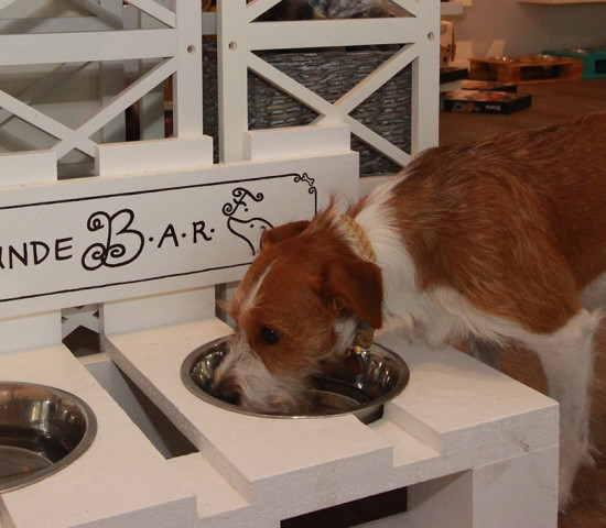Die Hundebarf Die Hundebarf
