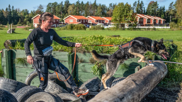 Hunde-Hindernisrennen verzeichnen starkes Wachstum
