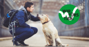 ZZF startet Tierschutz-Kampagne