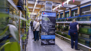 EFS lädt zur Hausmesse ein