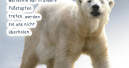 Neuer „Eiskalt“-Katalog