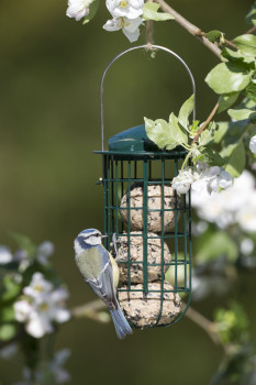 Gevo, Meisenknödel, Gesundes Vogelfutter