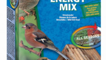 Natürlich füttern auch im Winter