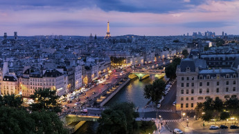 Hunde leben am besten in Paris