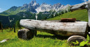 Die Heimtierbranche Österreichs im Blick