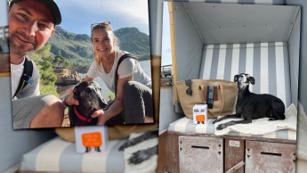 TiNi Enterprise setzt auf Nachhaltigkeit mit einem Augenzwinkern TiNi Enterprise setzt auf Nachhaltigkeit mit einem Augenzwinkern