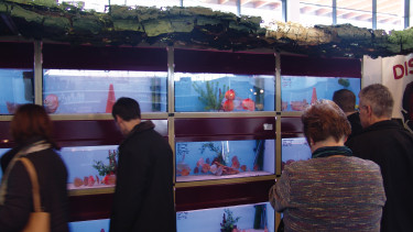 TMS veranstaltet künftig Aqua Fisch