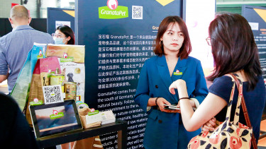 Erfolgreich, trotz Corona
