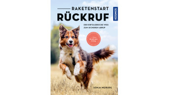 Raketenstart-Rückruf