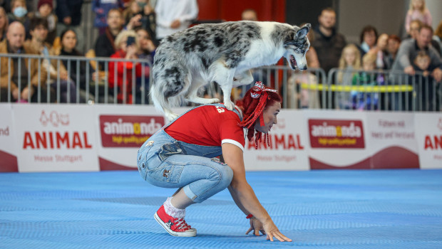 Artistisches Dog-Dancing im Atrium der Messe Stuttgart.