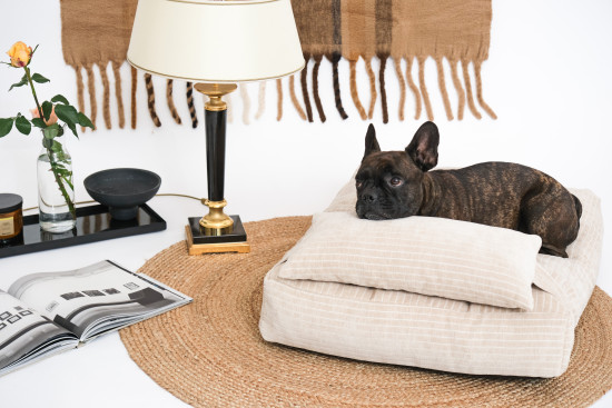 Pet & Co.