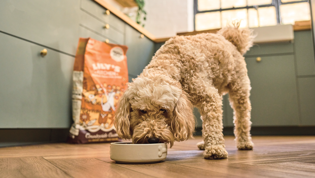 Lily's Kitchen gilt als britischer Marktführer für natürliches Premium-Tierfutter und ist seit April 2020 Teil von Nestlé Purina Petcare.