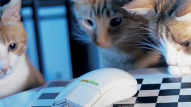 Zooplus korrigiert Prognose für Jahresergebnis