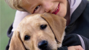 Heimtierhaltung für Eltern