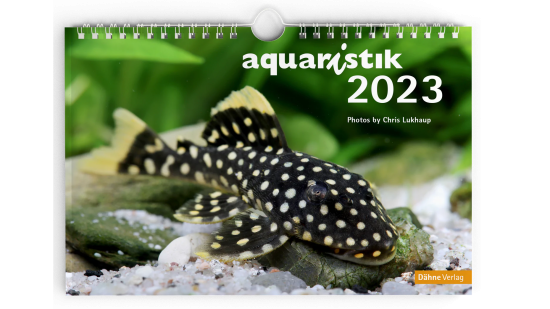 aquaristik-Kalender 2023, Dähne Verlag