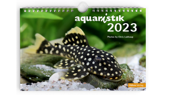 aquaristik-Kalender 2023, Dähne Verlag aquaristik-Kalender 2023, Dähne Verlag