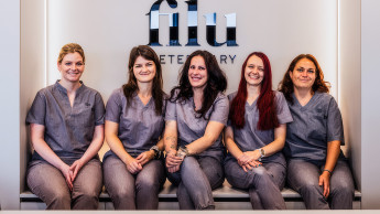 Veterinär-Start-up Filu jetzt auch in Berlin und Frankfurt a.M.