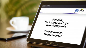 Digitales Seminar mit 23 Teilnehmern
