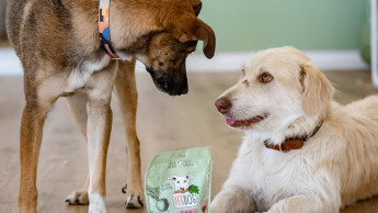 Vegdog erweitert Geschäftsführung