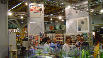 Glückseligkeit in Bologna
