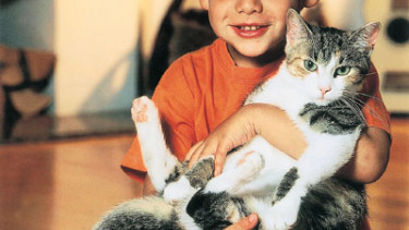 Des Deutschen liebster Vierbeiner