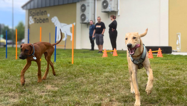 Mit der Eröffnung des ersten Zoo & Co.-Hundespielplatzes in Rheda-Wiedenbrück wurde erstmals der außenraumbezogene Teil des Markenkonzepts Spielen & Toben realisiert. 