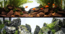 Vier neue Themenaquarien 
