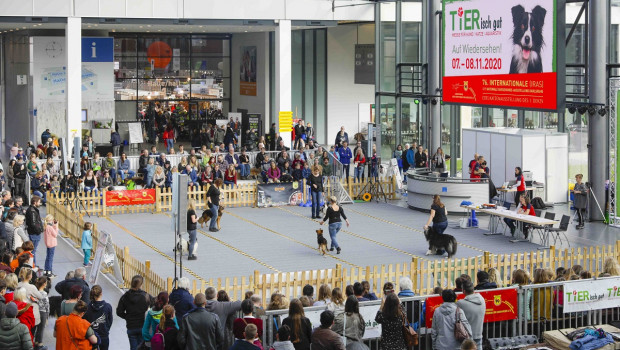In Karlsruhe fand außerdem die 75. Internationale Rassehundeausstellung (IRAS) und die 8. Nationale Rassehundeausstellung (NRAS) statt.